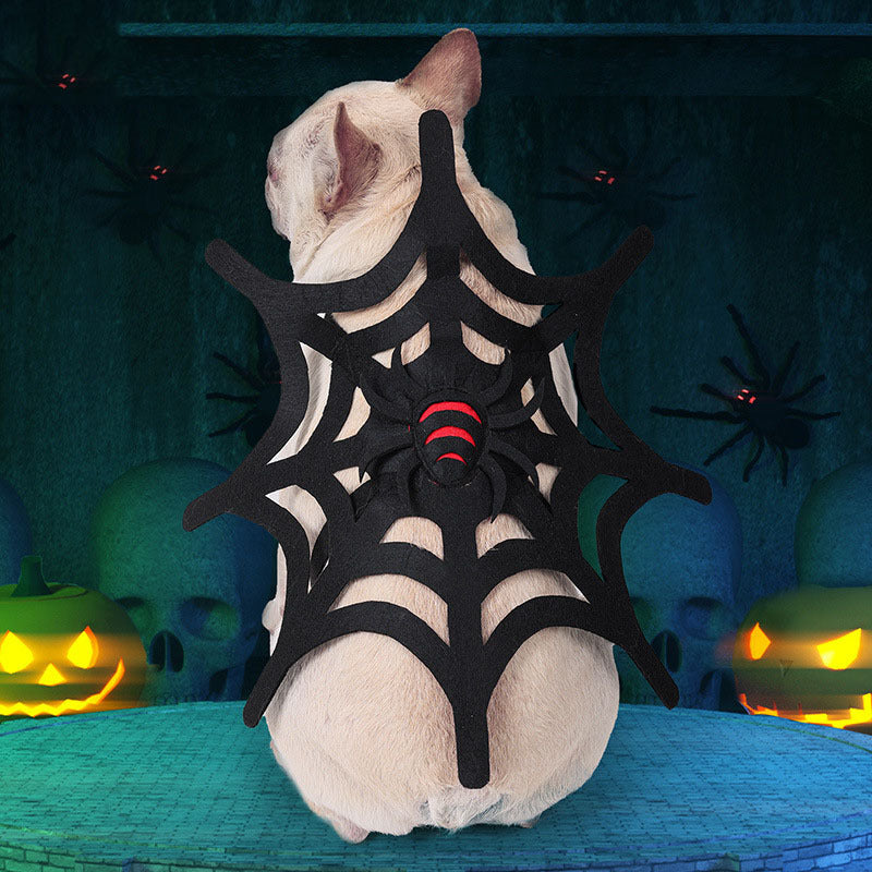 Spooky spider web dog costume perfect for Halloween fun and fright