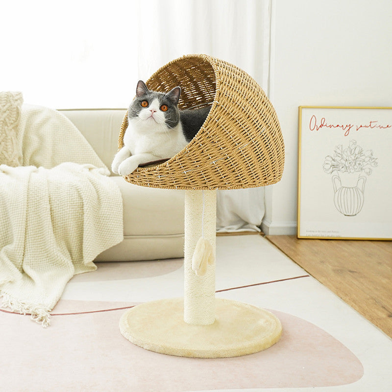 Sturdy cat tree scratcher, ideal for scratching, climbing, and lounging