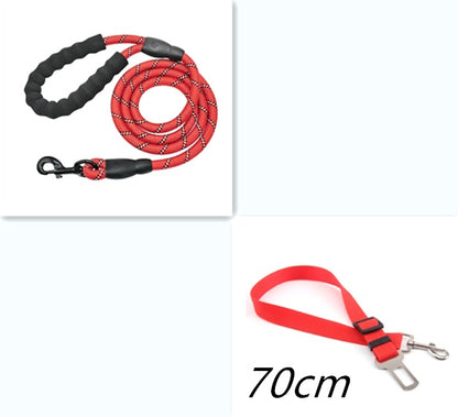 Reflective Nylon Dog Leash for All Sizes