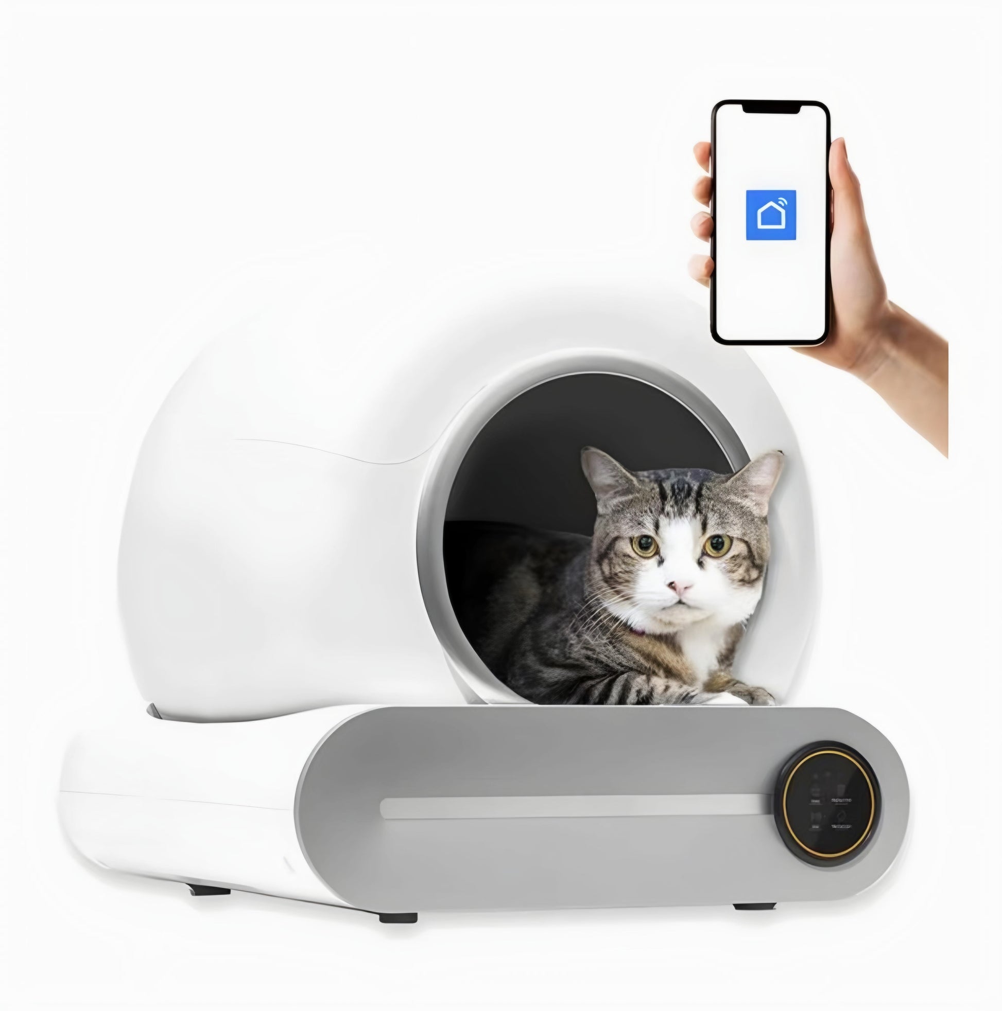 A cat sits calmly inside a white automatic litter box, all set against a clean white background, highlighting the box's modern design and the cat's comfort.