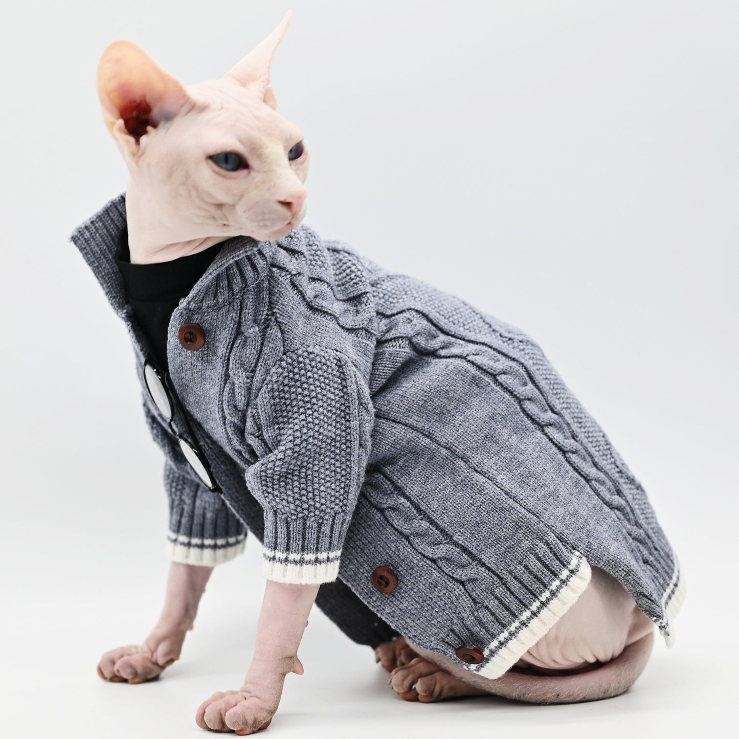 black and gray hairless spynx cat sweater