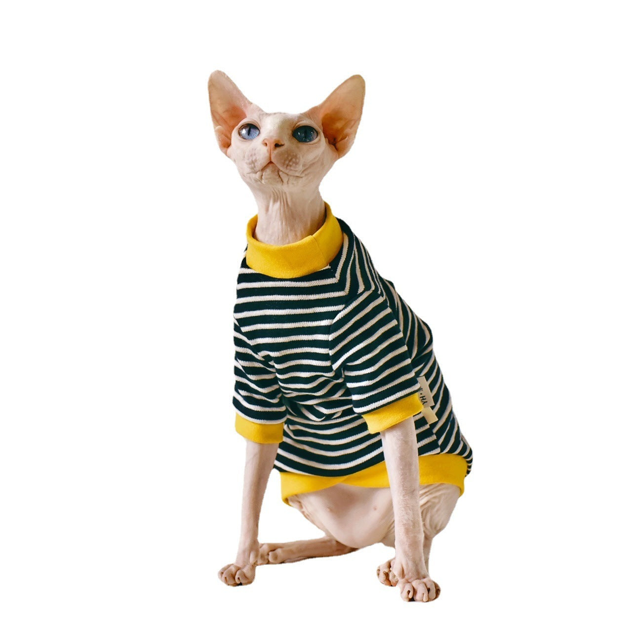 black and yellow sphynx cat shirt