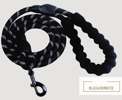 Reflective Nylon Dog Leash for All Sizes