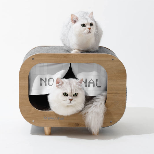  cat house with scratcher