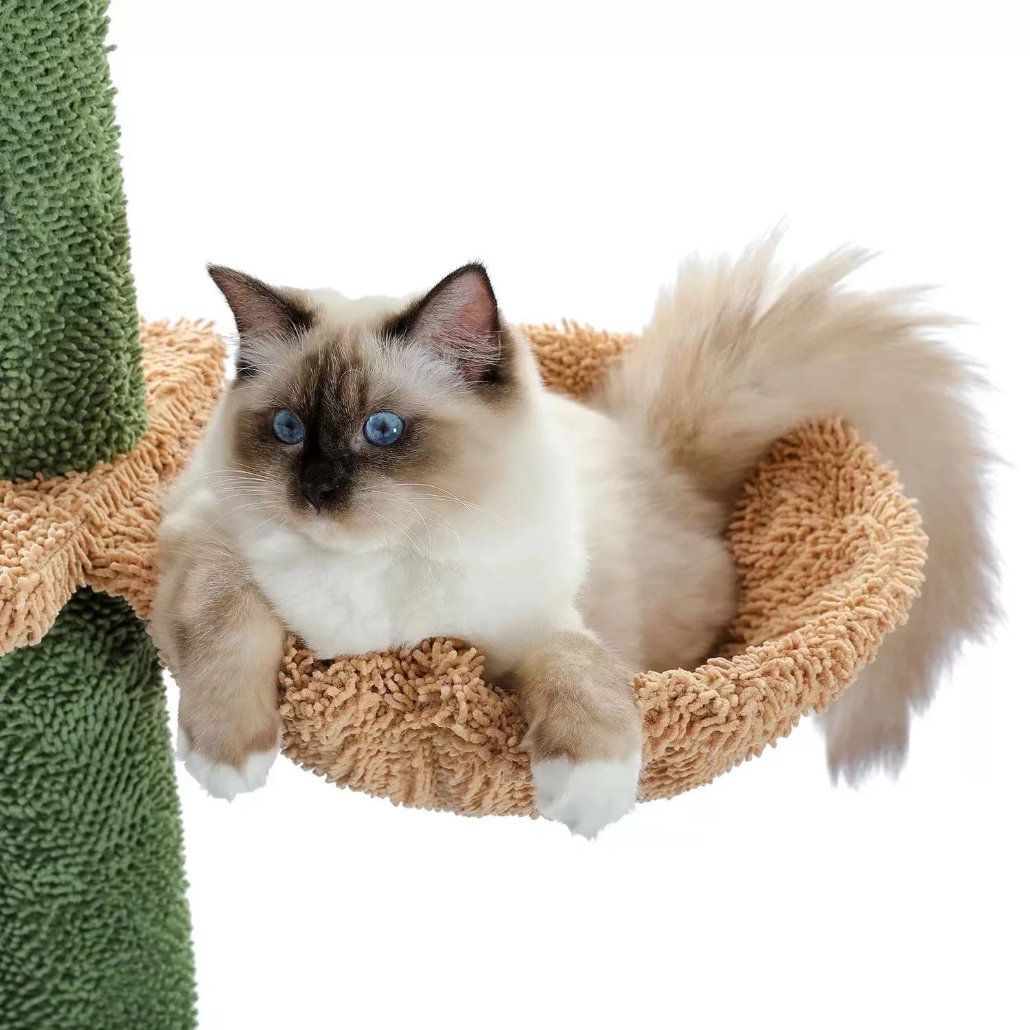 cat tree cactus

