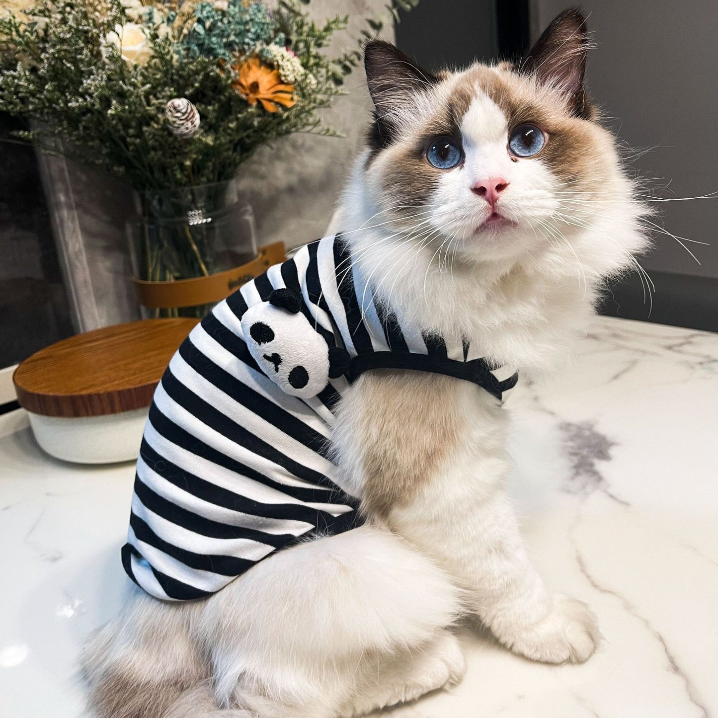 Panda Cat Vest For Summer