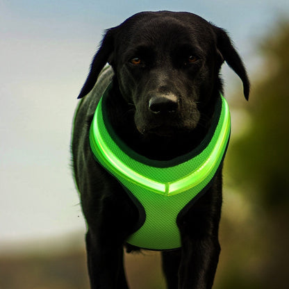 LED Luminous Dog Harness USB Charging Safety Vest