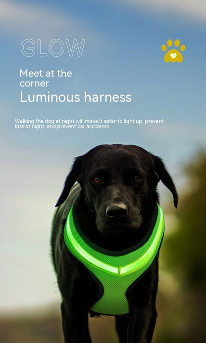 LED Luminous Dog Harness USB Charging Safety Vest