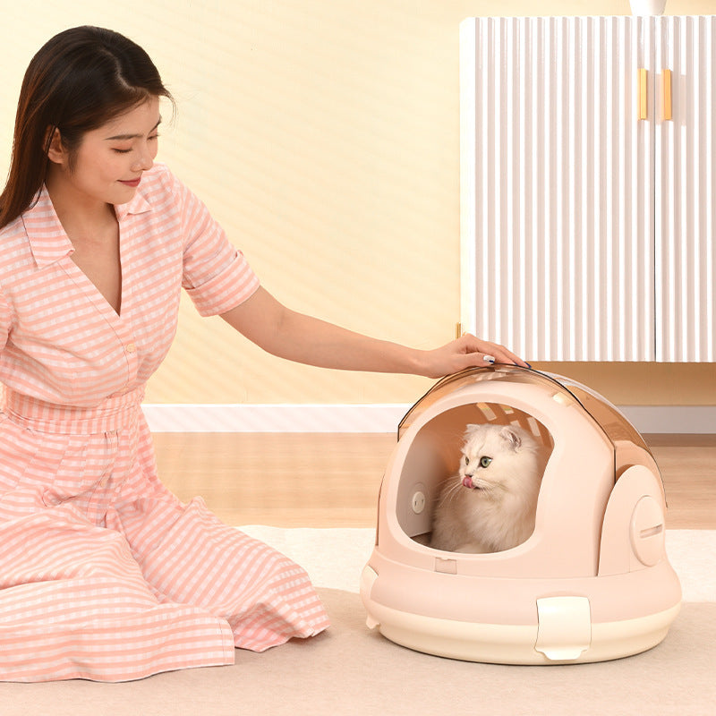 disposable cat litter box