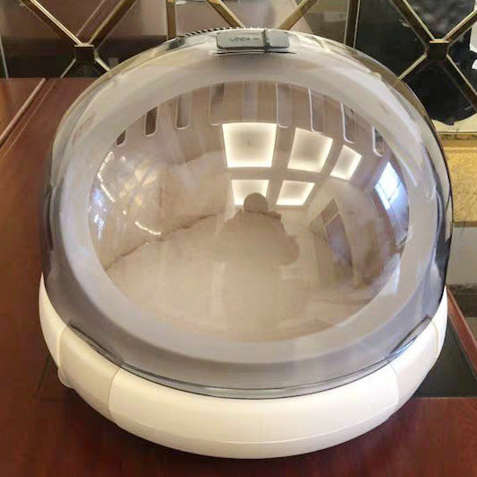 disposable kitty litter box