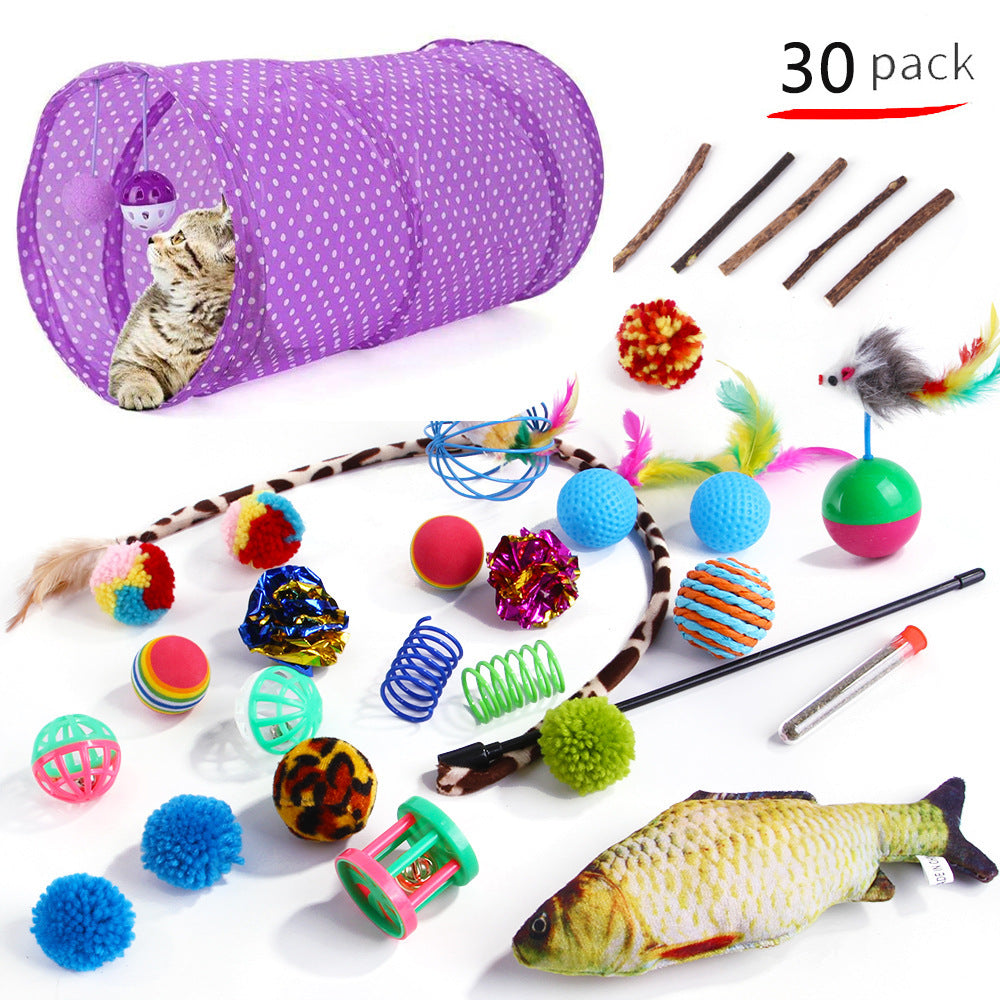 21-Piece Cat Toy Set for Endless Fun