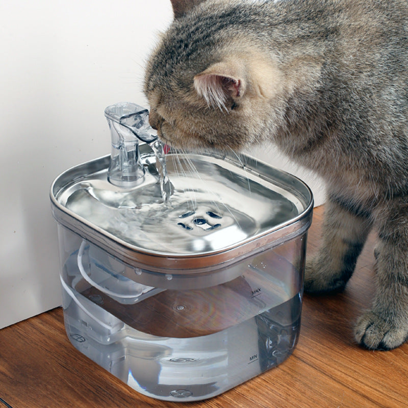 Best Cat Drinking Water Fountain