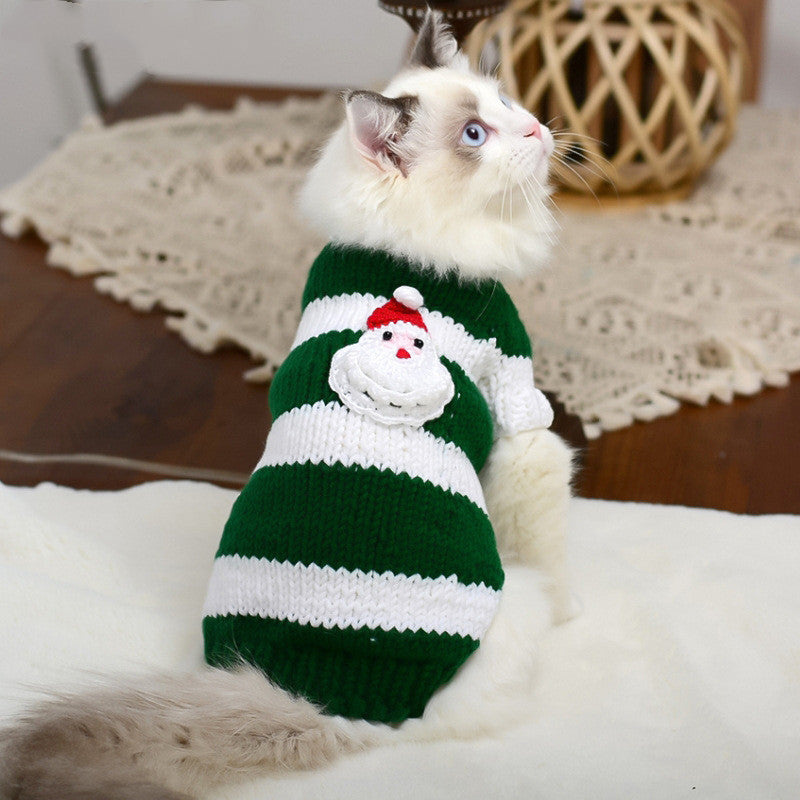 green sphynx  cat sweater for cats