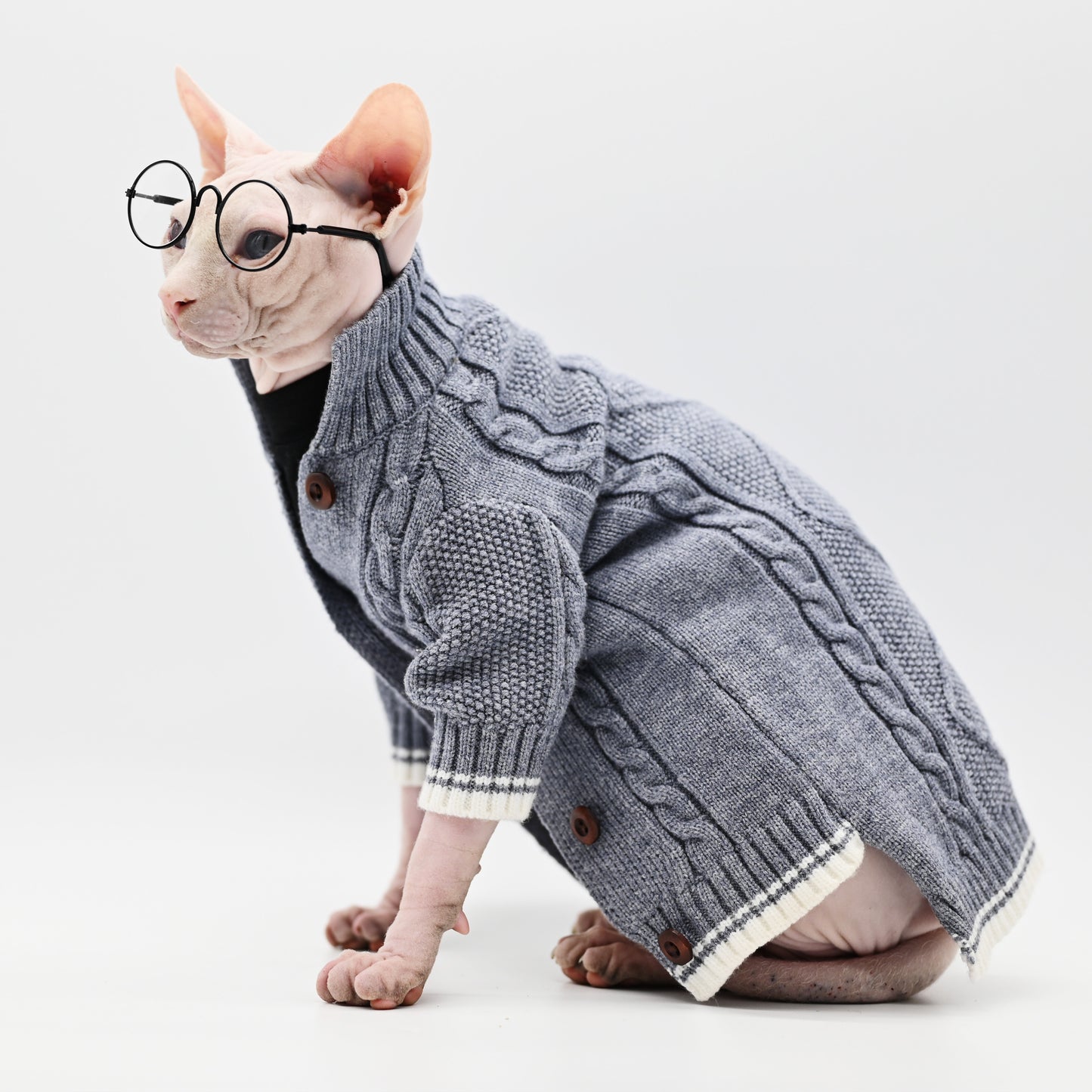 hairless cat wear black and gray sweater