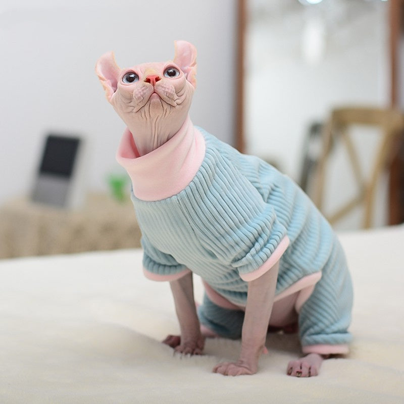 hairless cat wear four legs blue coat 