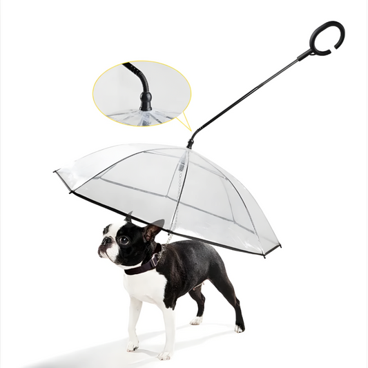 Transparent Pet Umbrella for Dogs and Cats