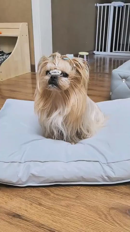 Waterproof Washable Dog Barney Bed