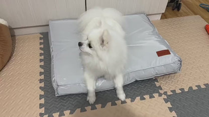 Waterproof Washable Dog Barney Bed