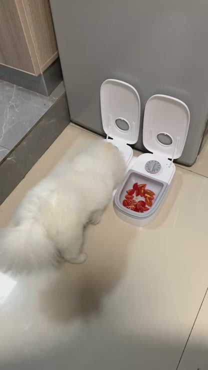 Automatic Food Feeder Bowl For Dogs And Cats