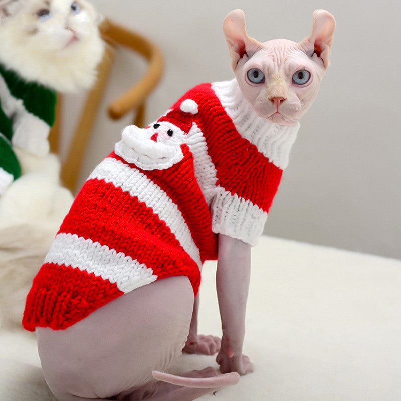 red sphynx  cat sweater for cats