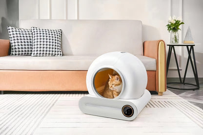 Cat sitting comfortably inside an automatic litter box, looking content and relaxed.