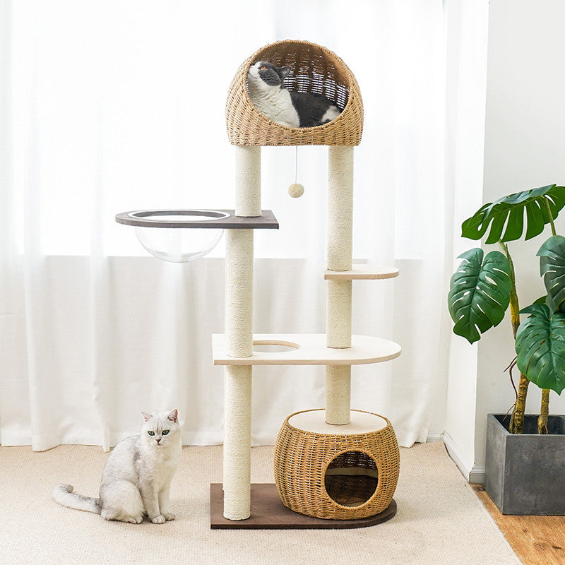 small cat condo