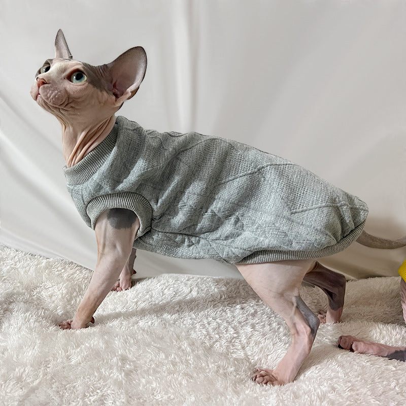 sphynx cat wear gray shirt