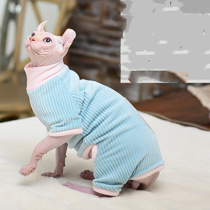 sphynx cat wear warn blue coat